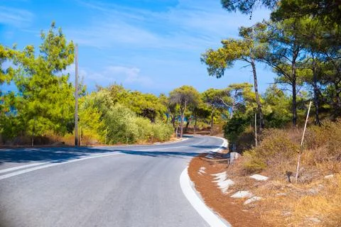 Switchback asphalt road between trees Stock Photos
