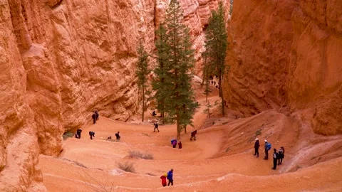 Switchbacks Found On The Navajo Loop In Bryce Canyon National Park Stock Footage 177148809