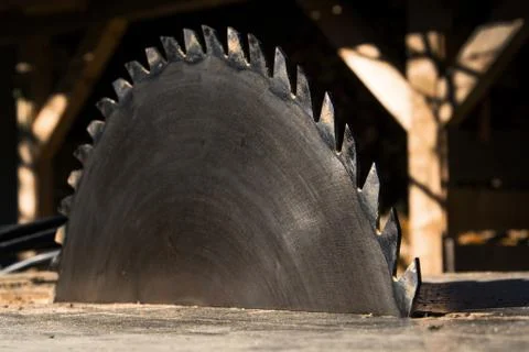 Switched off old rusty sharp circular saw blades 库存照片