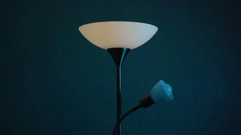 Switching on and off one main lamp in the lamp Stock Footage 201307213