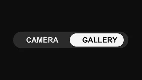 Switching Camera to Gallery Mode Toggle Button Animation, Sleek UI Switch Design Stock Footage 311587875