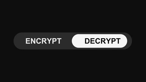 Switching Encrypt to Decrypt Mode Toggle Button Animation, Sleek UI Switch Stock Footage 311587913