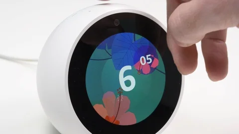 Switching The Mic Off a Smart Home Assistant Amazon Echo Stock Footage 100921405