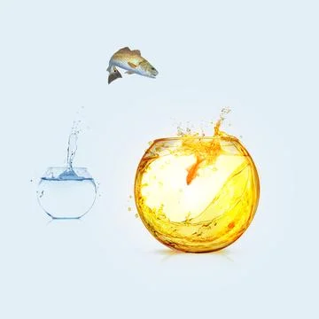 Switching-to-oil-fish Stock Illustration