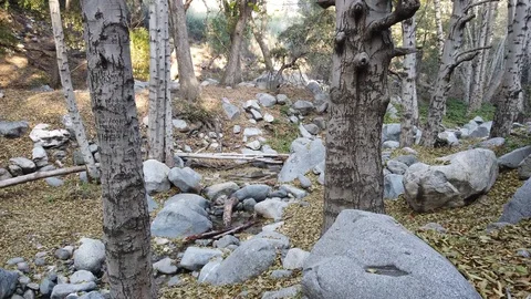 Switzer Falls in the woods  Stock Footage 100576761