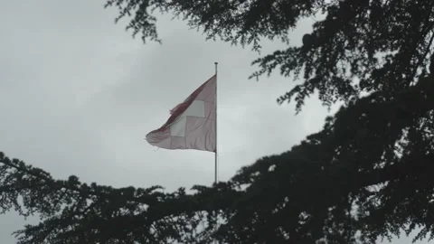 SWITZERLAND FLAG Stock Footage 146579663