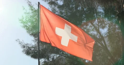Switzerland Flag Waving Video stock 100193591