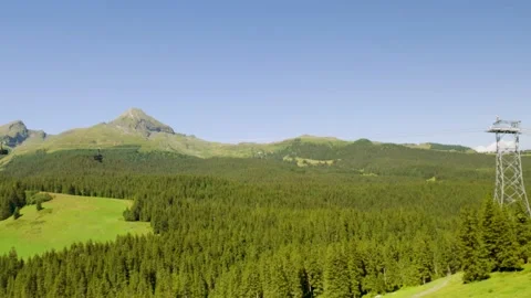 Switzerland mountain landscape with pine forest in the alps Stock Footage 343539806