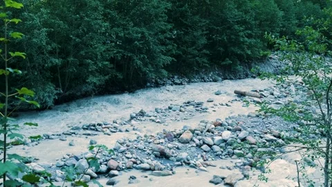 Switzerland mountain river flowing through a lush green forest Stock Footage 343539153