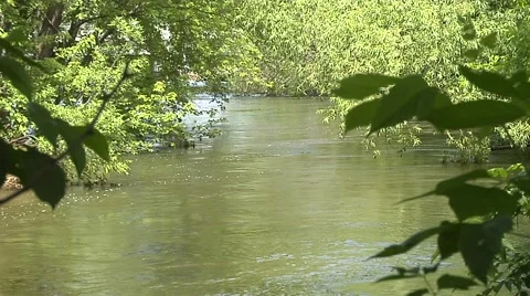 Swollen Stream 1 Vidéo 40340874