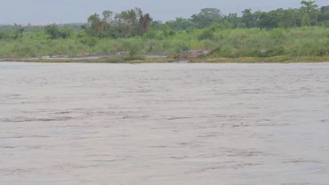 In the swollen stream, what flows is not water, but mud.Environmental issues.4K Stock Footage 258719445