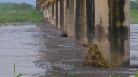 In the swollen stream, what flows is not water, but mud.Environmental Issues. Stock Footage 260240131