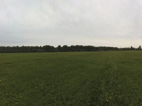 Swoop 스톡 동영상 77093901