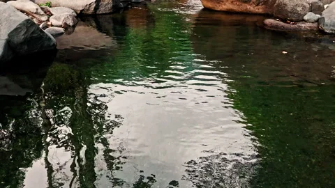 Swooping river drone green waters Stock Footage 279952810