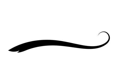 Swoosh typography text tail shape. Calligraphic decoration swish symbol. Retro Stock Illustration