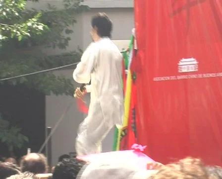 Sword Dancer (2 clips) Stock-Footage 313420