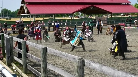 Sword fight Stock Footage 244008986