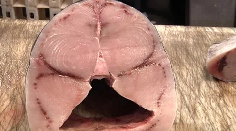 Sword Fish Stock Footage 8963927