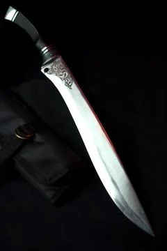 A sword with a sheath Stock Photos