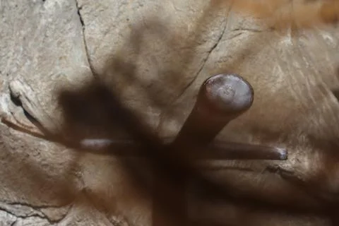 Sword in stone. Stone background. Pattern stone wall background. Natural texture Stock Photos