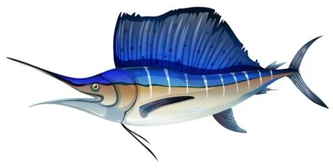 Swordfish with blue fin Stock Illustration