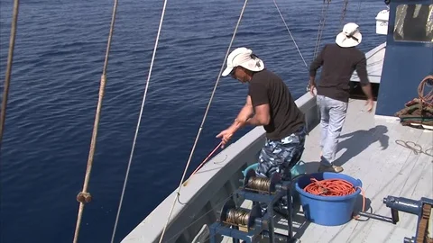 Swordfish hunter pulling the rope after hit the swordfish Stock Footage 79791638