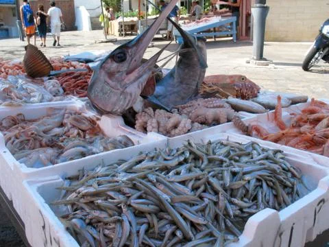 Swordfish Stock Photos