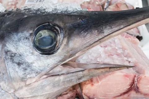 Swordfish Foto stock