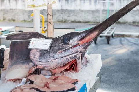 Swordfish Stock Photos