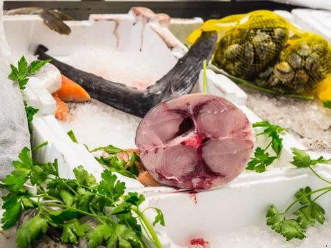 Swordfish Stock Photos