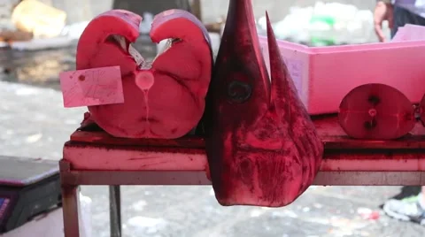 Swordfish in Sicily Stock Footage 48702275