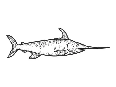 Swordfish. Sketch scratch board imitation. Black and white. Stock Illustration