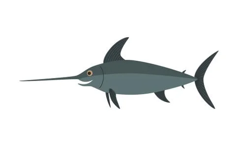 Swordfish vector, Isolated on white background Stock Illustration