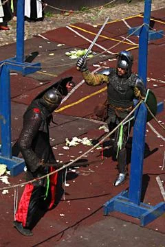 Swordsmen Stock Photos