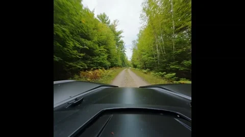 SXS down Stump Trail d logm 9-20-26.MP4 Vídeo Stock 346460905