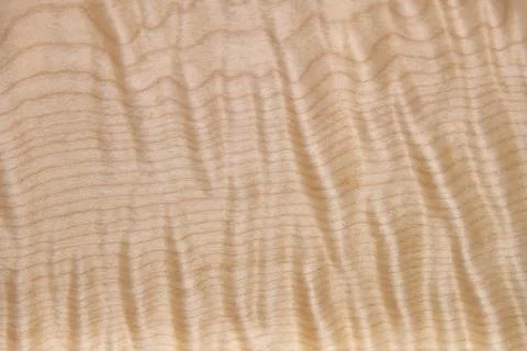 Sycamore maple texture. Sycamore maple veneer in workshop Stock Photos