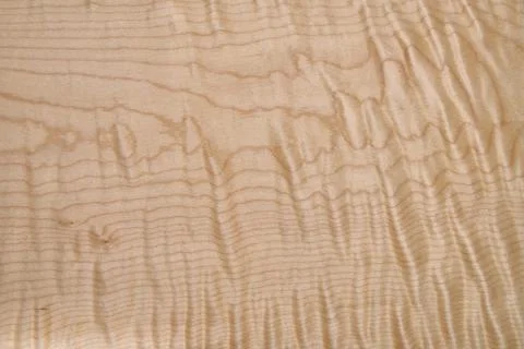 Sycamore maple texture. Sycamore maple veneer in workshop Stock Photos