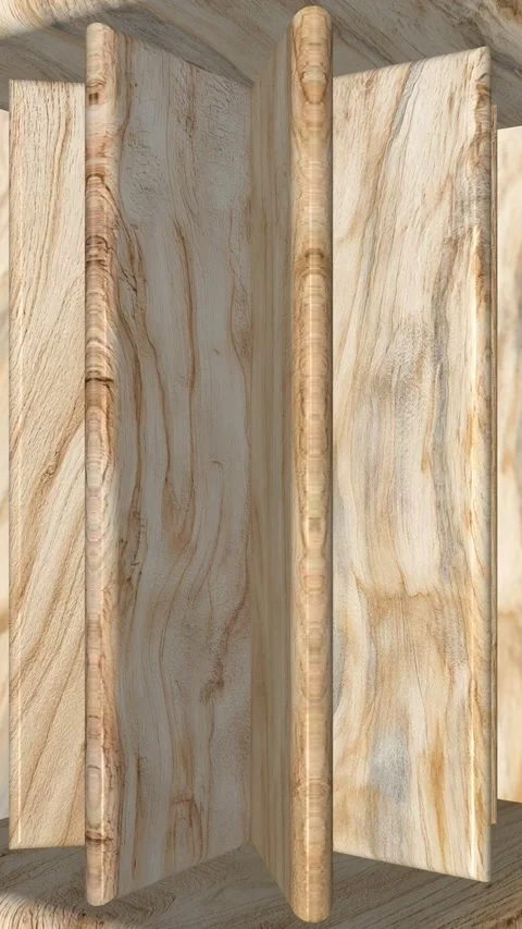 Sycamore Wooden Boards in Smooth Loop Rotation with Refined Grain 動画素材 342518159