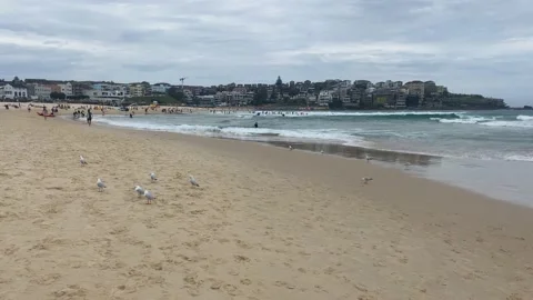 Sydney Bondi Beach View On Cloudy Day Stock Footage 219665425