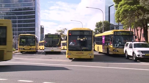 Sydney busses driving on the street Stock-Footage 59660164
