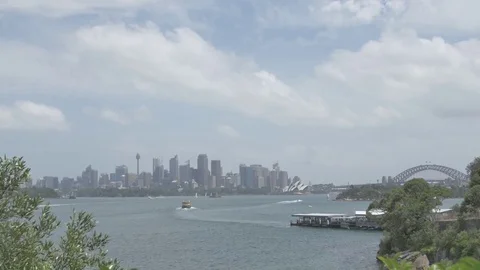 Sydney City - With Ferry Stock Footage 81674418