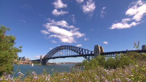 Sydney City Timelapse Video stock 70369853