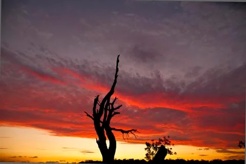 Sydney Cronulla Sunset Stock Photos