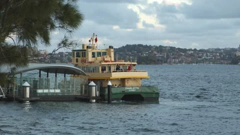 Sydney Ferry Picking people up Video stock 136824706
