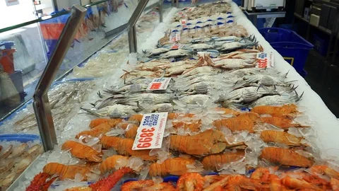 Sydney fish market shellfish on ice Video stock 122096576