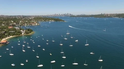 Sydney Stock Footage 100562457