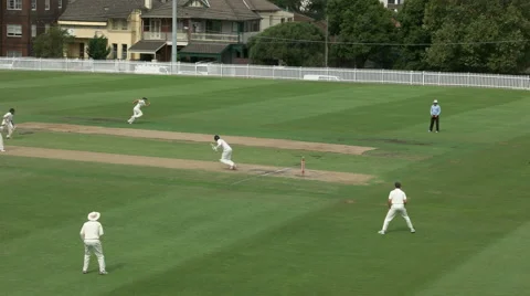 Sydney grade cricket match Stock Footage 61541113