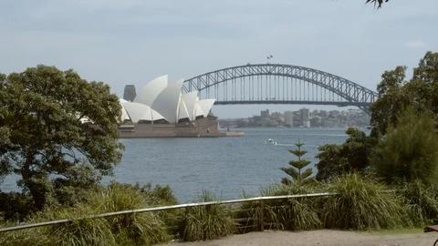 Sydney Harbor Bridge and Opera House Stock Footage 117335380