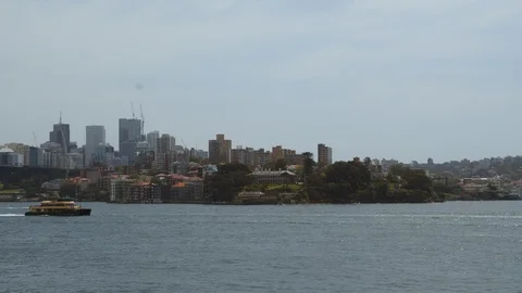 Sydney Harbor Ferry Stock Footage 117336523