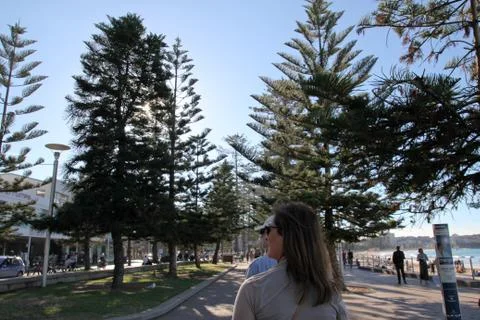 Sydney Harbor Stock Photos